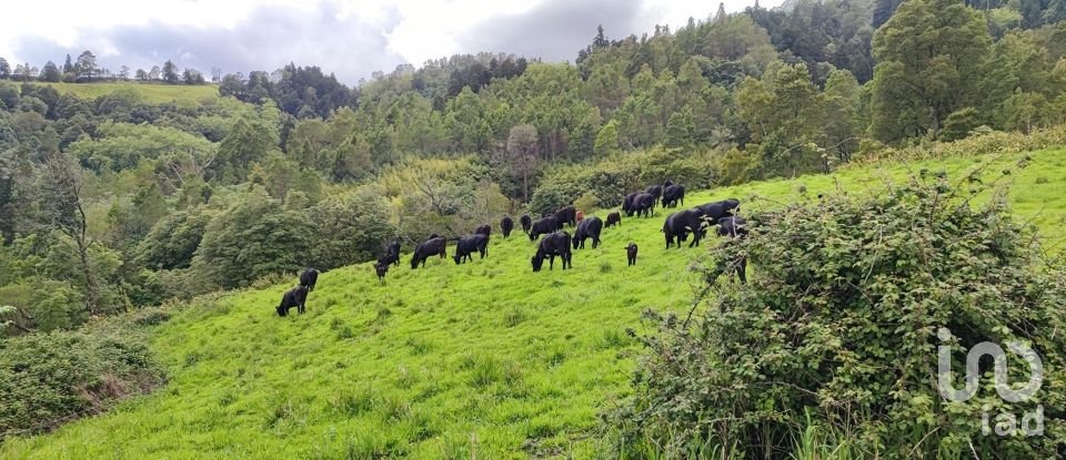 Terrain à Povoação de 142 408 m²