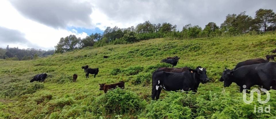 Terrain à Povoação de 142 408 m²