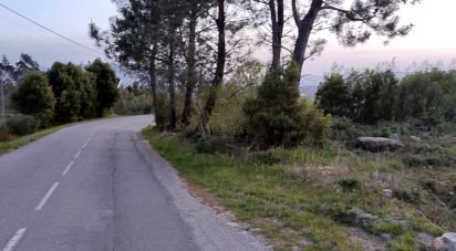 Land in Gandra e Taião of 850 m²