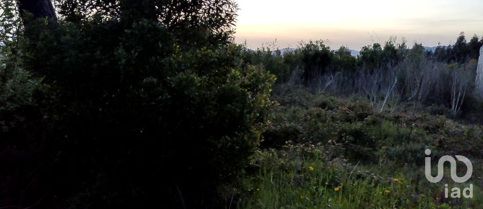 Terrain à Gandra e Taião de 850 m²