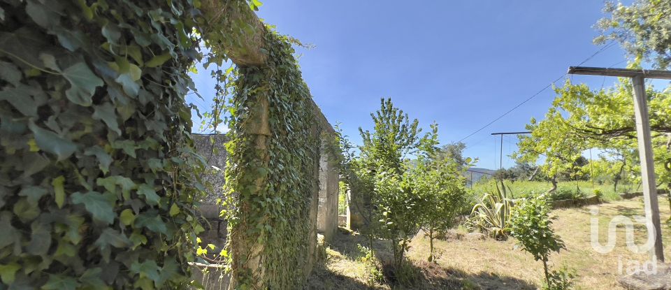 Farm T5 in Oliveira do Douro of 292 m²