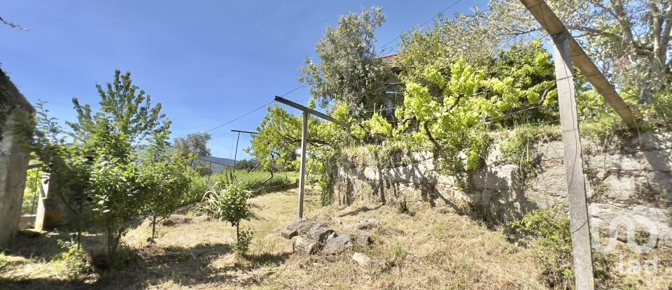 Farm T5 in Oliveira do Douro of 292 m²