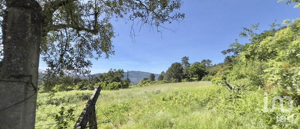 Farm T5 in Oliveira do Douro of 292 m²