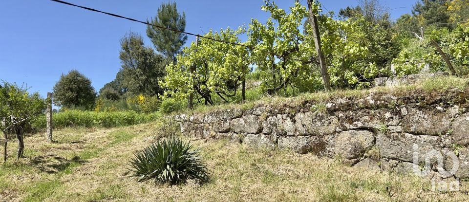 Farm T5 in Oliveira do Douro of 292 m²