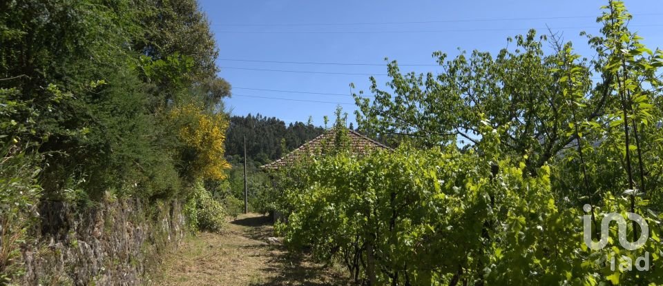Farm T5 in Oliveira do Douro of 292 m²