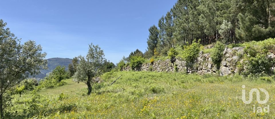 Farm T5 in Oliveira do Douro of 292 m²