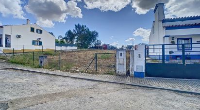 Terrain à Terena (São Pedro) de 440 m²