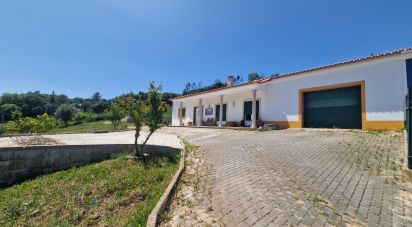 Casa / Villa T3 em Lamas e Cercal de 154 m²