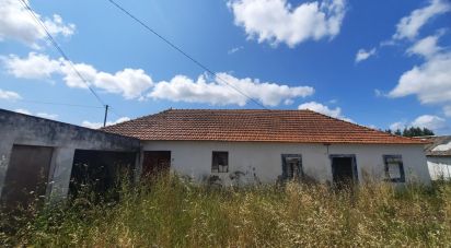 House T2 in Lamas e Cercal of 164 m²