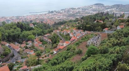 Ferme T14 à Monte de 345 m²