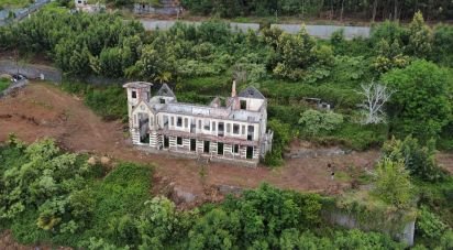 Ferme T14 à Monte de 345 m²