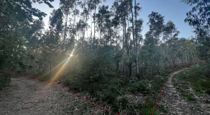 Terrain à Travassô e Óis da Ribeira de 4 950 m²