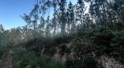 Terrain à Travassô e Óis da Ribeira de 4 950 m²