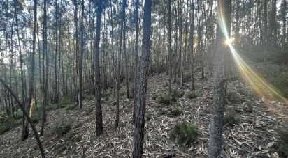 Terrain à Travassô e Óis da Ribeira de 4 950 m²