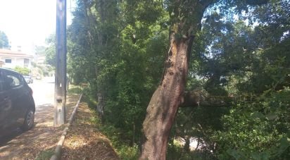 Terrain à Frende de 1 000 m²