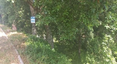 Terrain à Frende de 1 000 m²