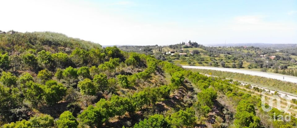 Farm T3 in Mexilhoeira Grande of 274 m²