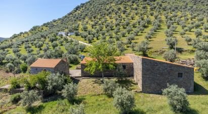 Ferme T3 à Ligares de 160 m²