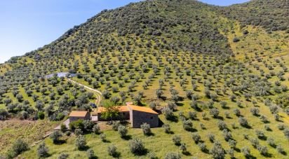 Ferme T3 à Ligares de 160 m²