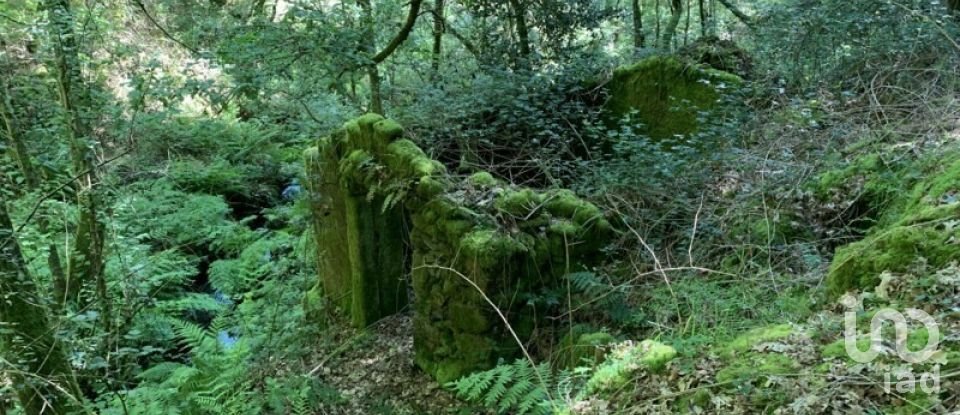 Farm T9 in Covas of 380 m²