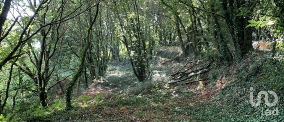 Farm T9 in Covas of 380 m²