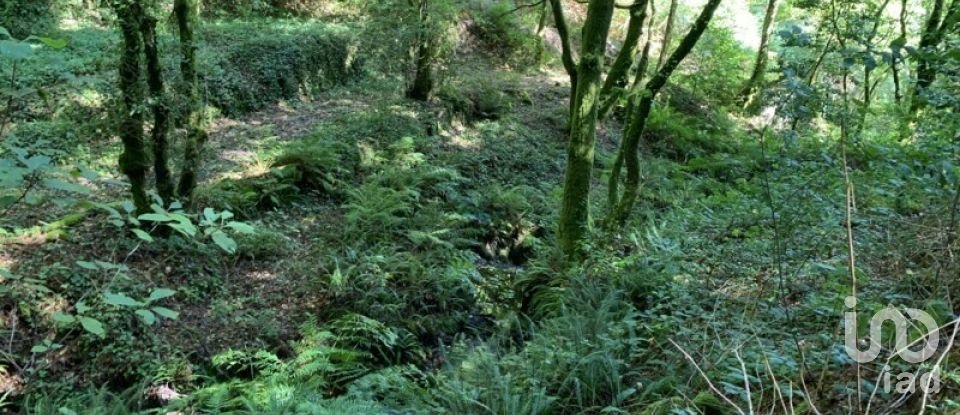 Farm T9 in Covas of 380 m²