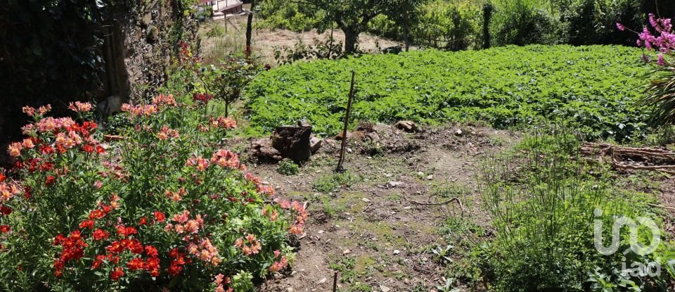 Casa tradicional T2 em Lorvão de 140 m²