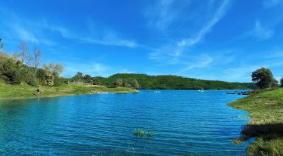 Terrain à bâtir à Ferreira do Zêzere de 1 560 m²