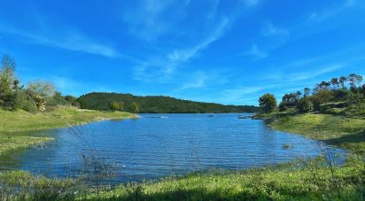 Terrain à bâtir à Ferreira do Zêzere de 1 560 m²