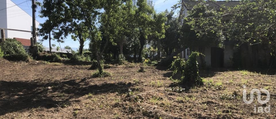 Casa T3 em Correlhã de 250 m²