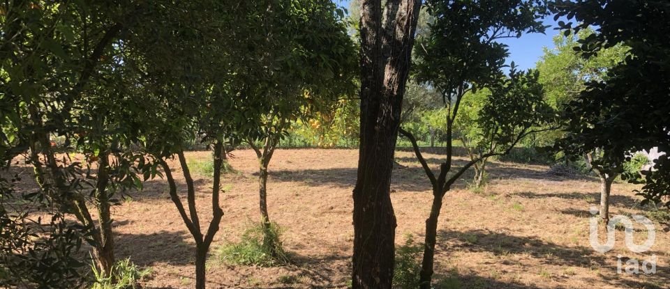 Casa T3 em Correlhã de 250 m²