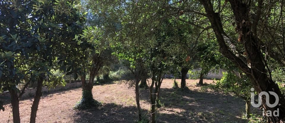 Casa T3 em Correlhã de 250 m²