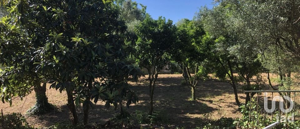 Casa T3 em Correlhã de 250 m²