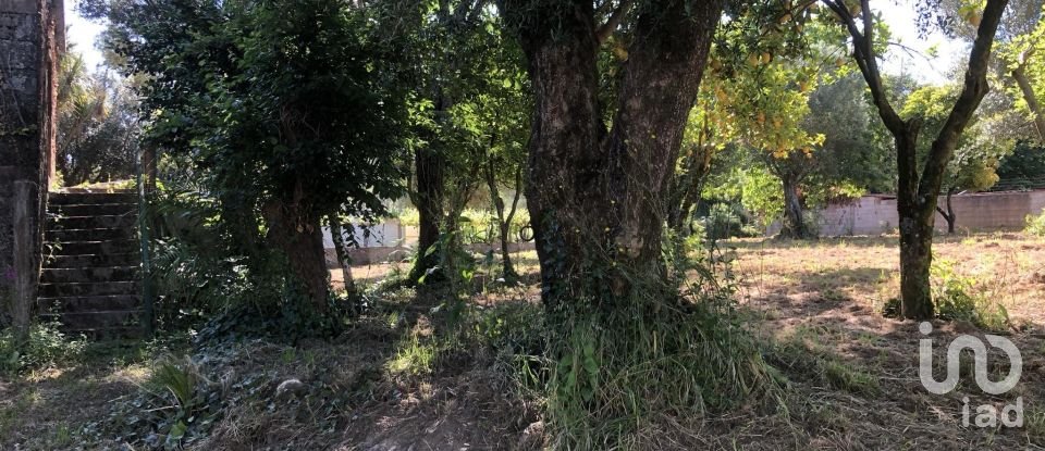 Casa T3 em Correlhã de 250 m²