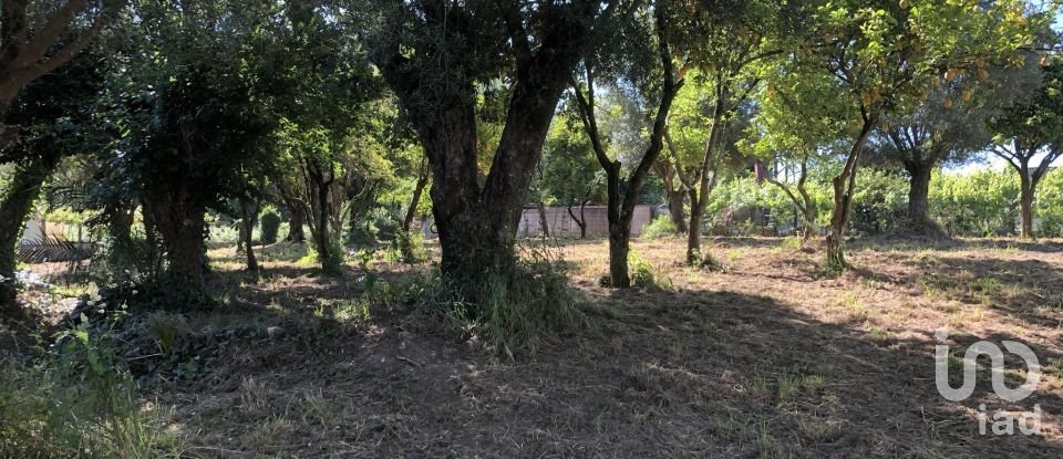 Casa T3 em Correlhã de 250 m²