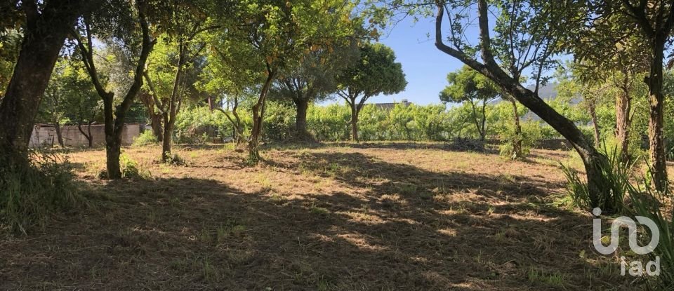 Casa T3 em Correlhã de 250 m²