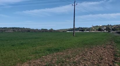 Terrain à São Gonçalo De Lagos de 409 450 m²