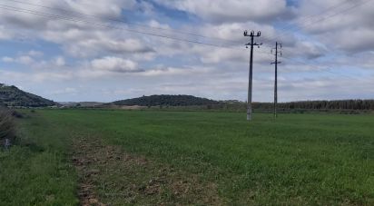 Terrain à São Gonçalo De Lagos de 409 450 m²