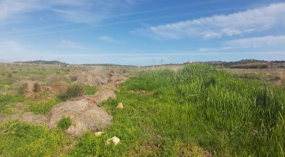 Terrain à São Gonçalo De Lagos de 409 450 m²