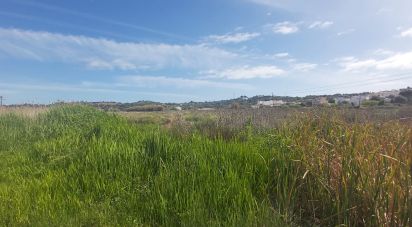 Terrain à São Gonçalo De Lagos de 409 450 m²