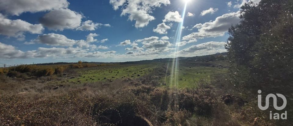 Land in São Gonçalo De Lagos of 409,450 m²