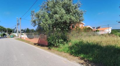 Terreno em São lourenço do bairro de 1 652 m²
