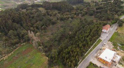 Terrain à Santa Catarina de 57 000 m²