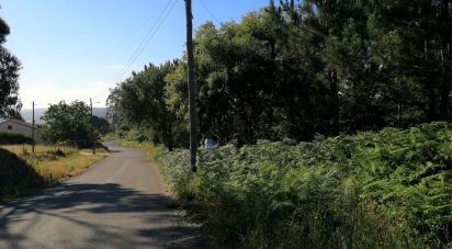 Terrain à Santa Catarina de 57 000 m²