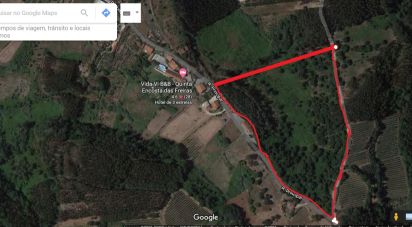 Terrain à Santa Catarina de 57 000 m²