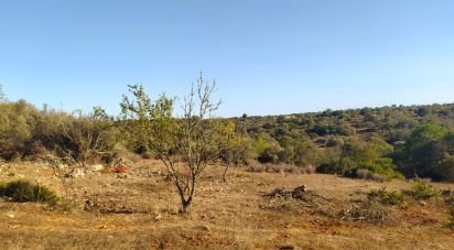 Terrain Loisirs à Bensafrim e Barão de São João de 6 240 m²