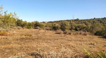 Terrain Loisirs à Bensafrim e Barão de São João de 6 240 m²