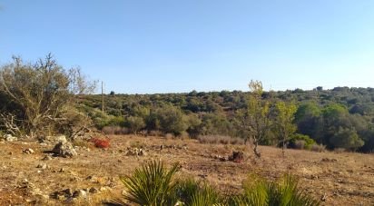 Terrain Loisirs à Bensafrim e Barão de São João de 6 240 m²