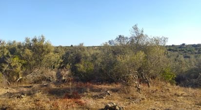 Terrain Loisirs à Bensafrim e Barão de São João de 6 240 m²