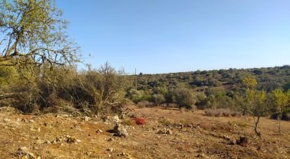 Terrain Loisirs à Bensafrim e Barão de São João de 6 240 m²